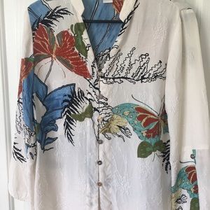 😍😍🎉Citron by Santa Monica